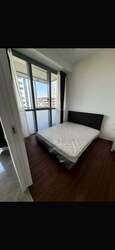Amber Park (D15), Condominium #457686881